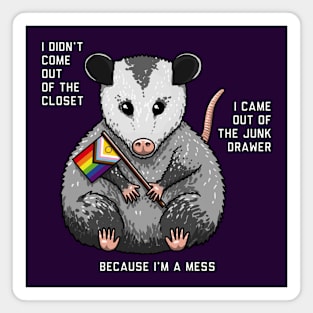 I'm A Mess Opossum Magnet